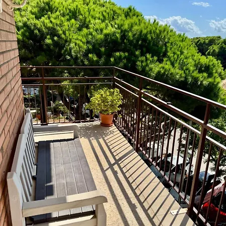 In Front Of The Appartement